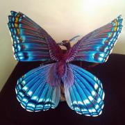 Red spotted purple dragon 4